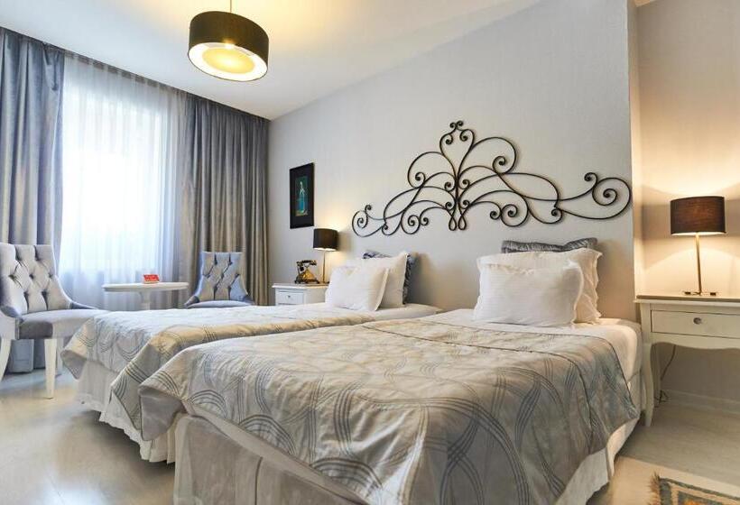 プレミアムルーム, Celal Sultan Hotel Special Class