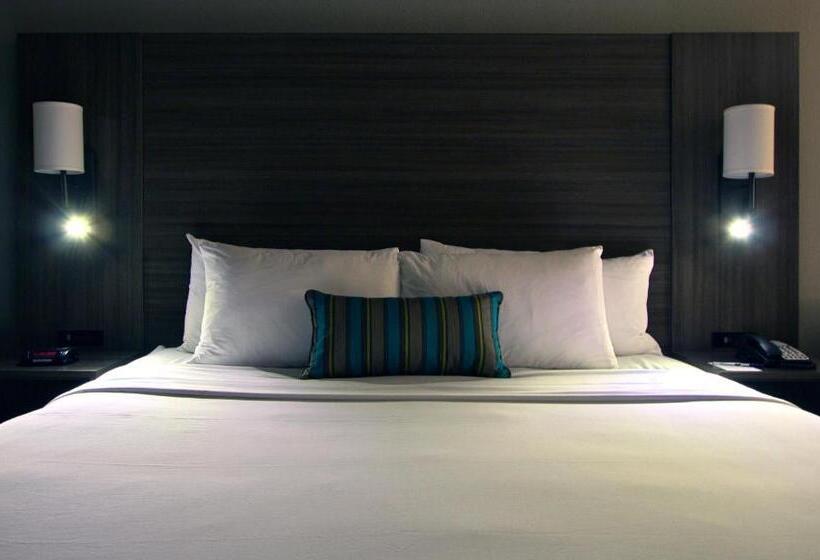 Quarto Standard Cama King, Executive Inn & Suites Oakland