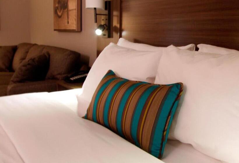 Suite Cama King, Executive Inn & Suites Oakland