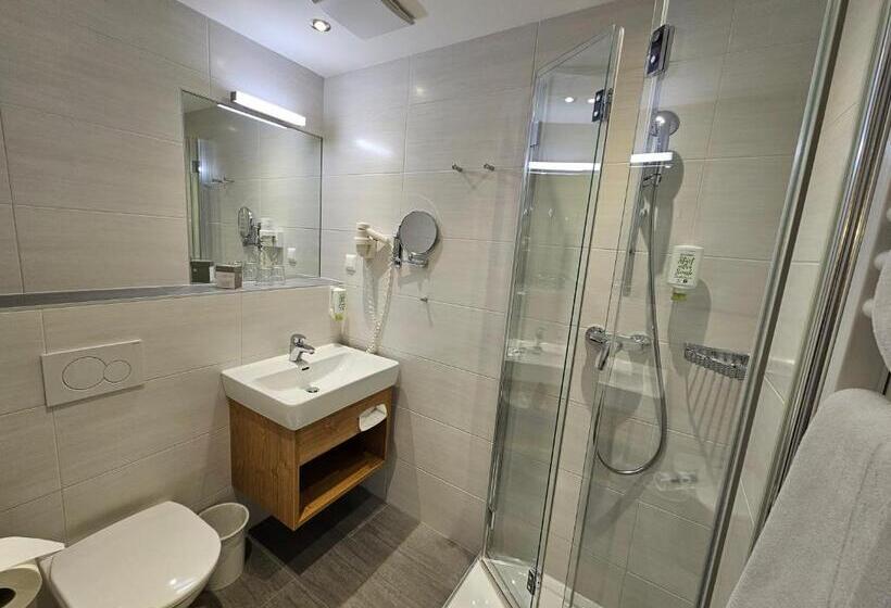 Номер Стандарт с Балконом, Dei Hotel Schönblick