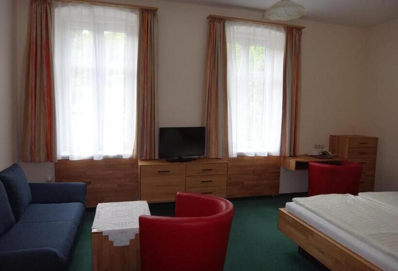 スタンダードルーム, Donau Rad Hotel Wachauerhof