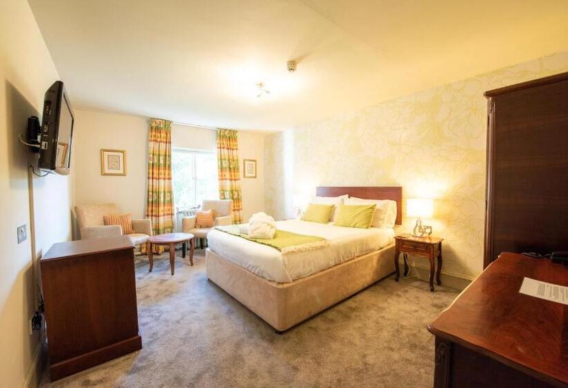 스탠다드 룸, The Falcondale At Lampeter