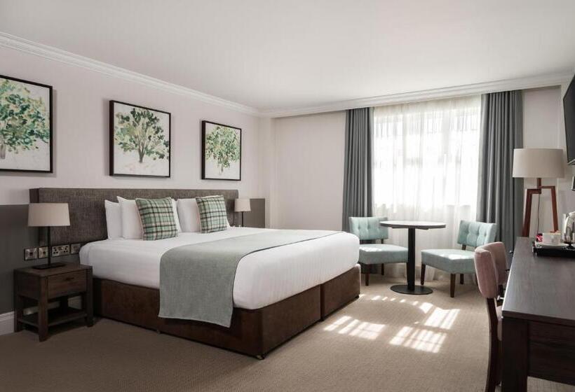 غرفة ديلوكس, Ivanhoe Inn And