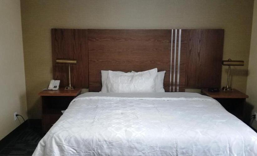 带大床的标准间, Baymont By Wyndham Montreal Airport