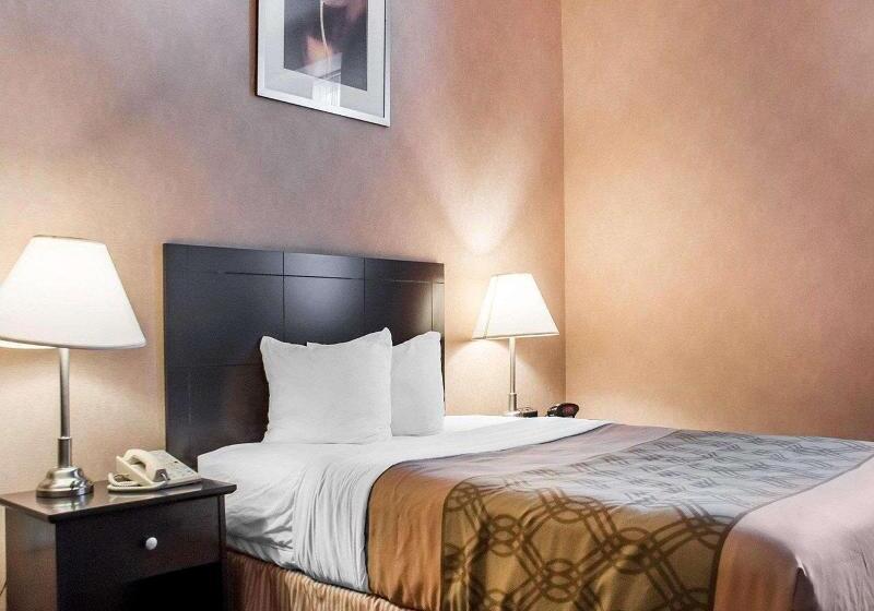 适合残疾人使用的标准间, Woodstock Inn And Suites