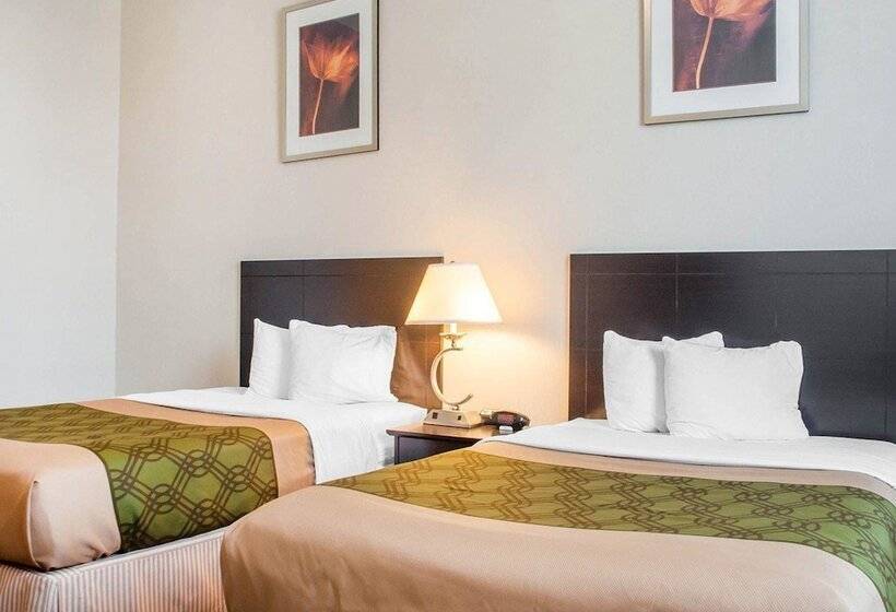 带2个双人床的标准工作室, Woodstock Inn And Suites