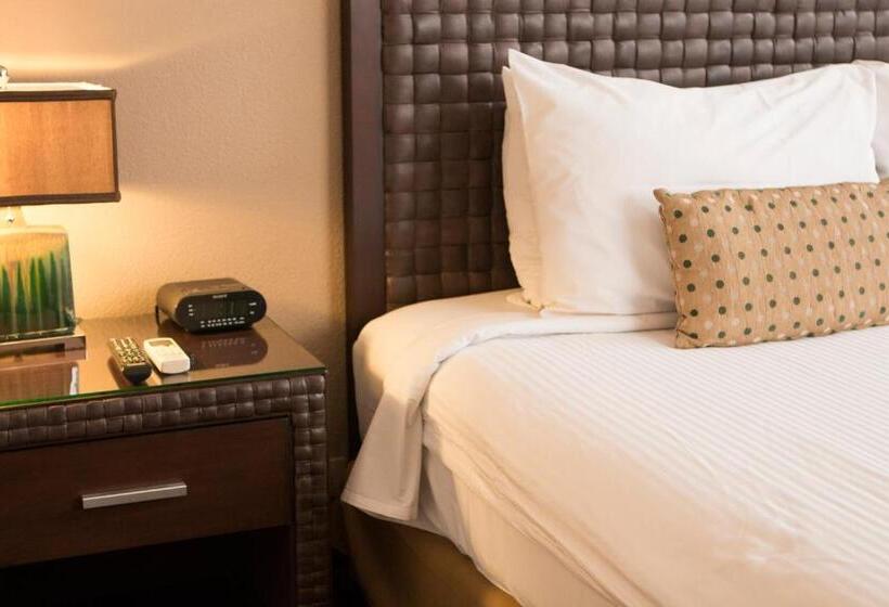 스탠다드 룸 킹사이즈 침대, Rincon Del Valle Hotel & Suites