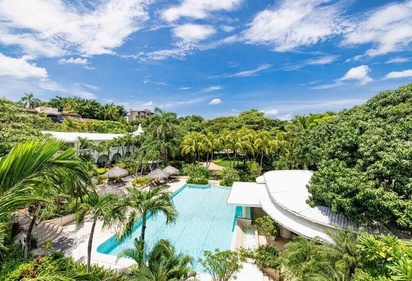 스위트, Tamarindo Diria Beach Resort