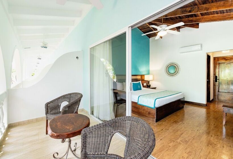 스탠다드 룸 킹사이즈 침대, Tamarindo Diria Beach Resort