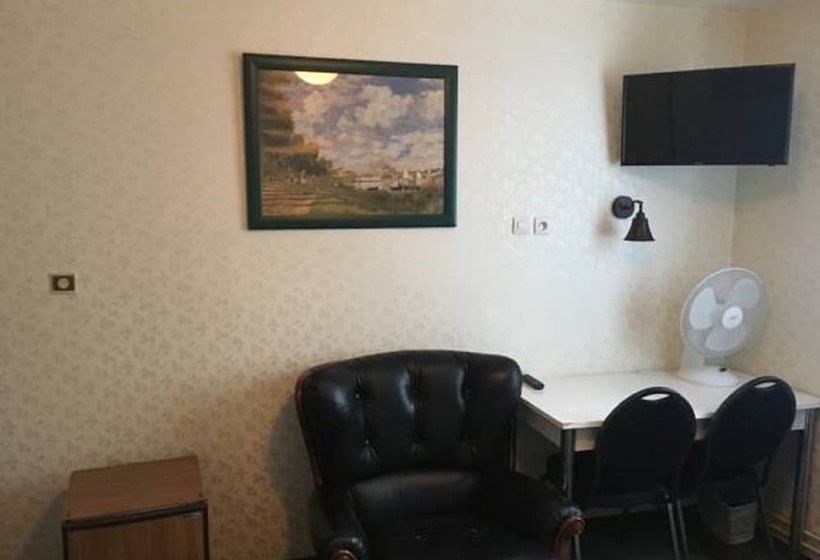 اتاق استاندارد یک نفره, Green Park Hotel Paris