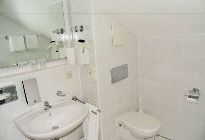 Номер Superior, Ibb Hotel Passau Süd