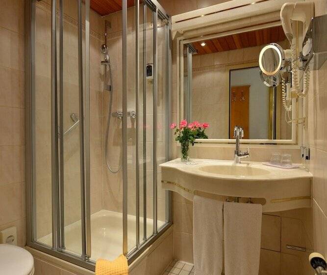 اتاق سوپریور یک تخته, City Partner Hotel Holländer Hof