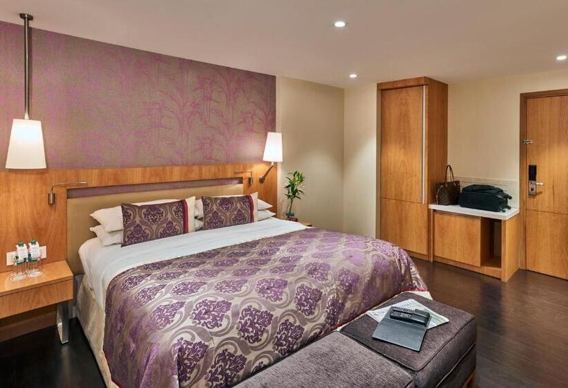 Executive Room, Bawa International