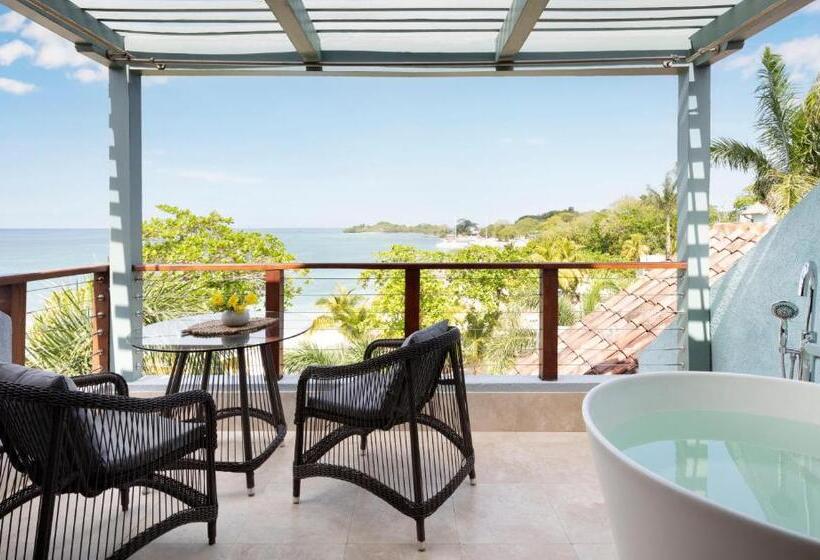 ویلای 1 خوابه, Sandals Negril   All Inclusive Couples Only