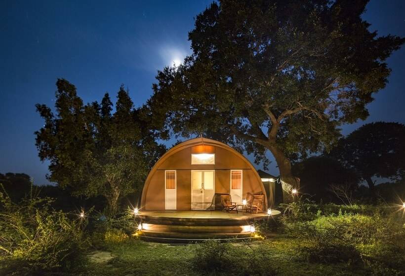 Deluxe Tent, Leopard Nest   Glamping In Yala