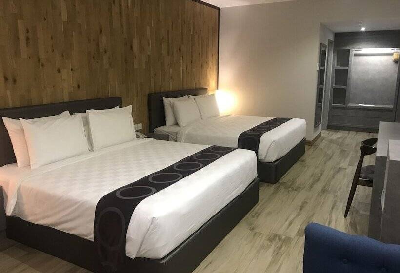 Family Suite, Frame
