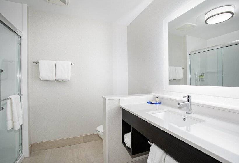 带大床的套房, Holiday Inn Express & Suites   Ely, An Ihg