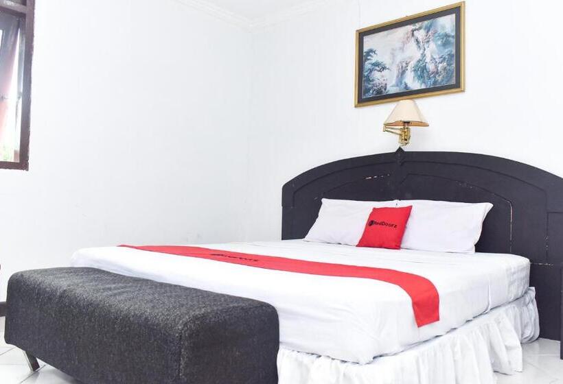 스위트, Reddoorz Plus @ Tirta Kencana