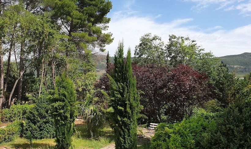 Полулюкс Вид на Сад, Finca Micalas