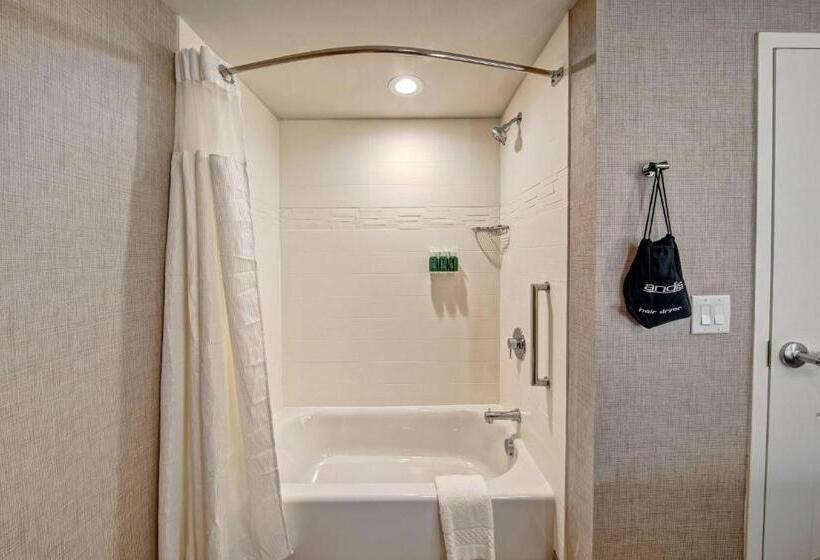 Suíte Cama King, Residence Inn By Marriott Nashville At Opryland