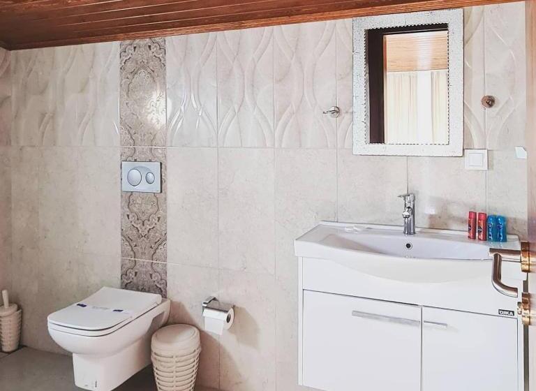 חדר סטנדרט עם טרסה, Malena Boutique Otel