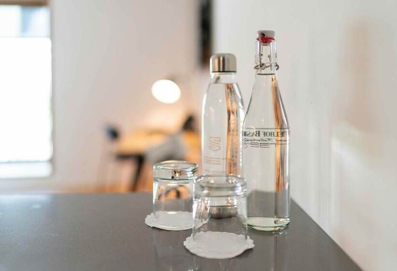 آپارتمان 1 خوابه با چشم‌انداز باغ, Set Hotel.residence By Teufelhof Basel