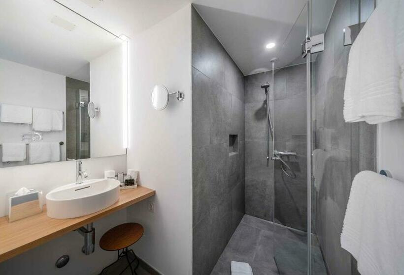 استودیو استاندارد با چشم‌انداز باغ, Set Hotel.residence By Teufelhof Basel