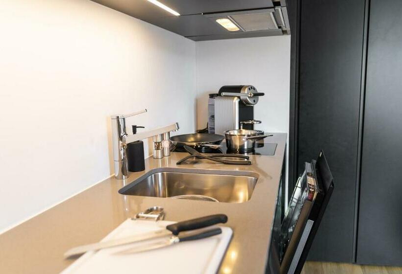 آپارتمان 1 خوابه با چشم‌انداز باغ, Set Hotel.residence By Teufelhof Basel