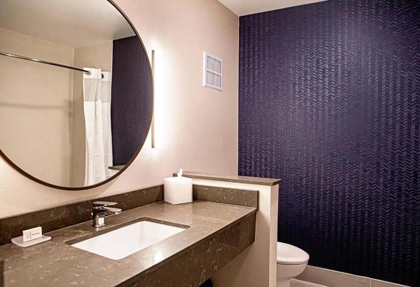 Люкс, Fairfield Inn & Suites By Marriott Richmond Airport