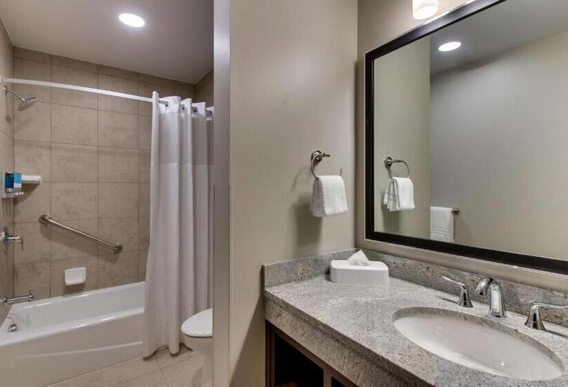 适合残疾人士使用的高档房间, Drury Plaza Hotel Milwaukee Downtown