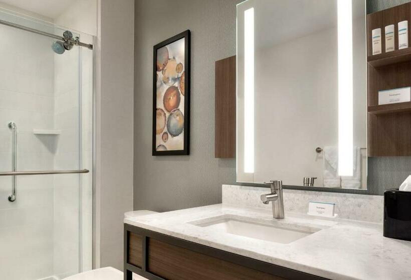 Quarto Standard para Deficientes, Hilton Garden Inn Chicago Downtown South Loop