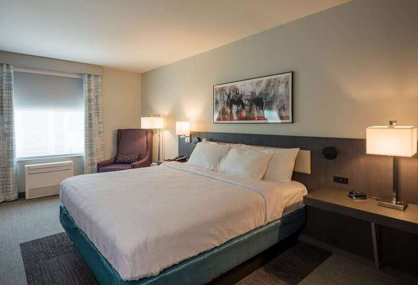 Quarto Standard Cama King para Deficientes, Hilton Garden Inn Chicago Downtown South Loop