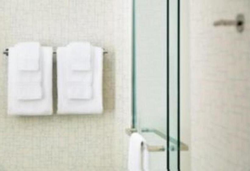 Стандартный Номер Кровать Кинг, Holiday Inn Express & Suites   Savannah N   Port Wentworth, An Ihg