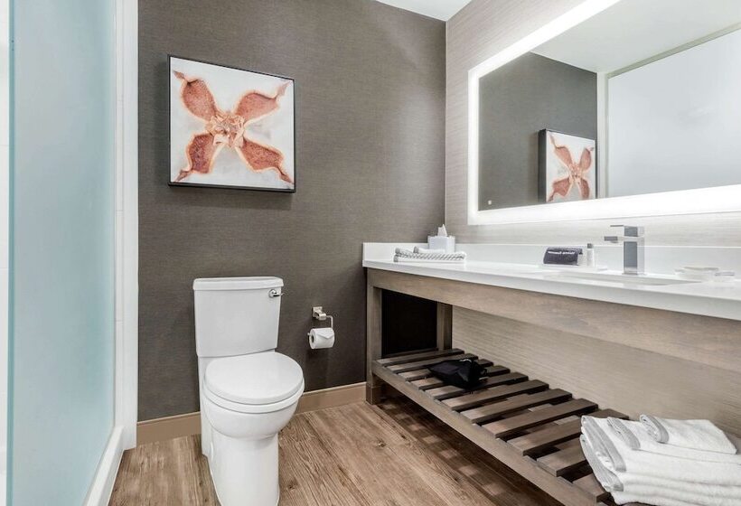 Люкс Адаптированный для Инвалидов, Cambria Hotel Fort Mill