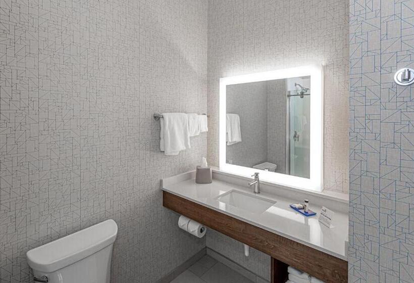 适合残疾人使用的标准间, Holiday Inn Express & Suites   Columbus   Worthington, An Ihg