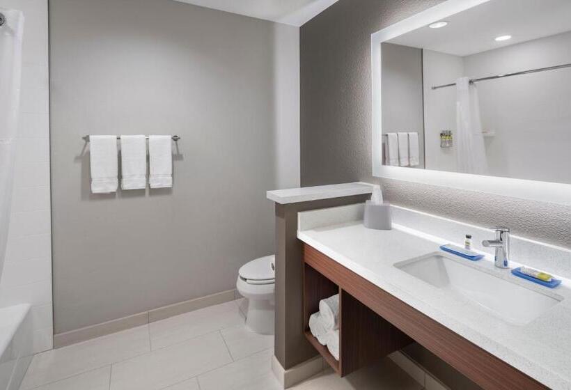 Номер Стандарт Адаптированный для Инвалидов, Holiday Inn Express & Suites   Odessa I 20, An Ihg