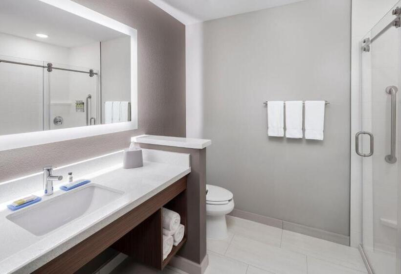 Номер Стандарт Кровать Кинг Адаптированный для Инвалидов, Holiday Inn Express & Suites   Odessa I 20, An Ihg