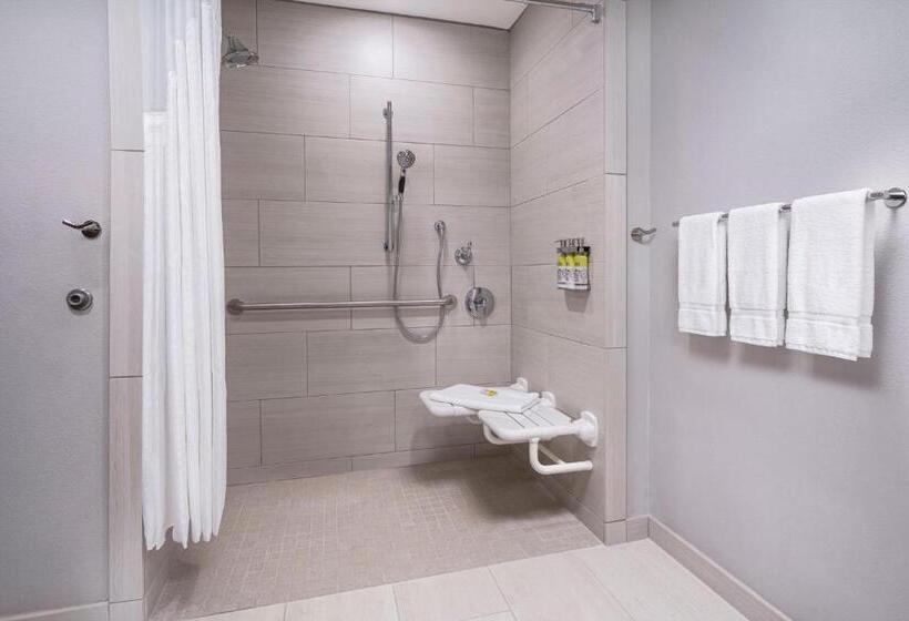 Номер Стандарт Адаптированный для Инвалидов, Holiday Inn Express & Suites   Odessa I 20, An Ihg