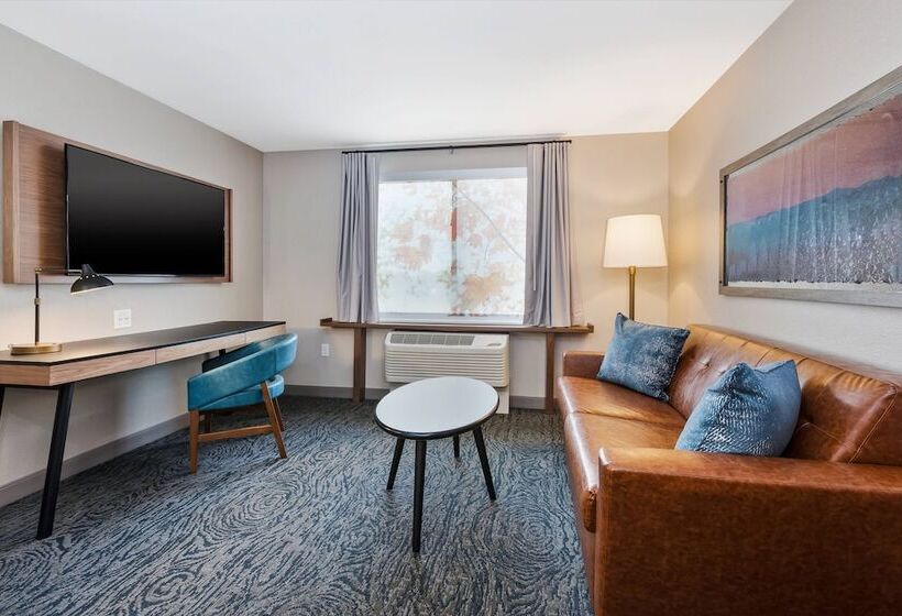 استودیوی استاندارد, Fairfield Inn & Suites By Marriott Kalamazoo