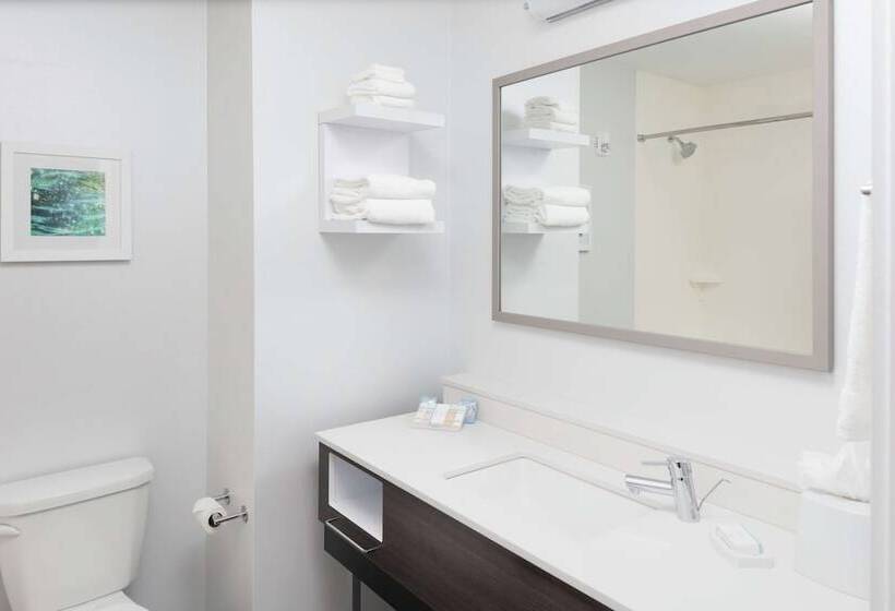 스탠다드 룸 더블 침대 2개, Hampton Inn Dunedin