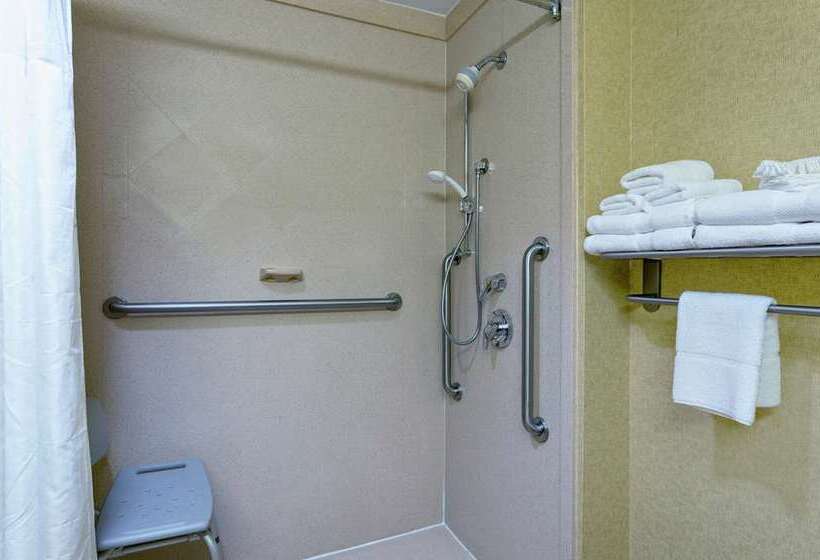 스탠다드 룸, Hampton Inn Dunedin