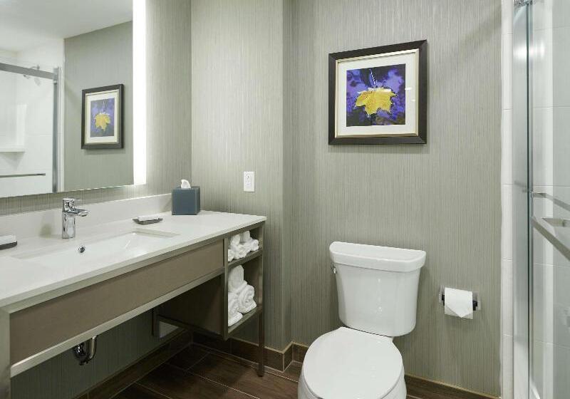 シングルデラックスルーム, Hilton Garden Inn St. John S Newfoundland, Canada