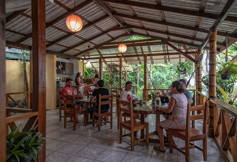 컴포트 룸 바다 전망, Yucca Beachfront