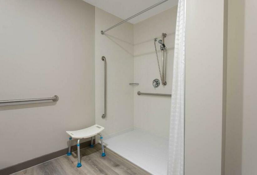 اتاق استاندارد برای معلولان, Microtel Inn & Suites By Wyndham Portage La Prairie