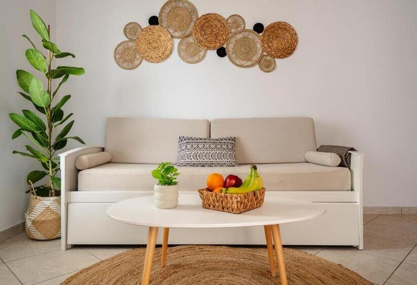آپارتمان 1 خوابه, Erato Inn Naxos