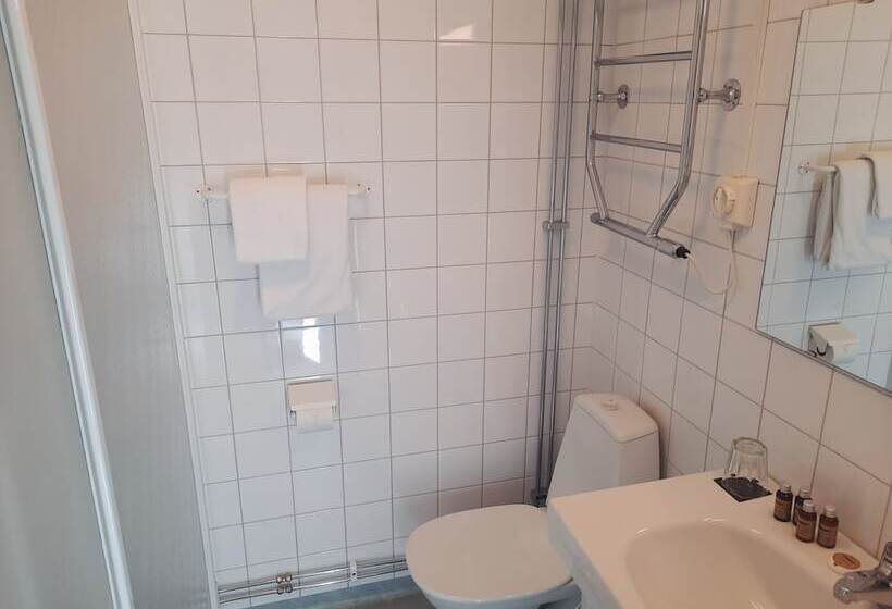 이코노미 싱글 룸, First Hotel Statt