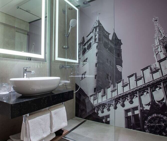 标准单人间, Radisson Blu , Basel