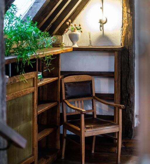 Студия Стандарт, Rose House B&b