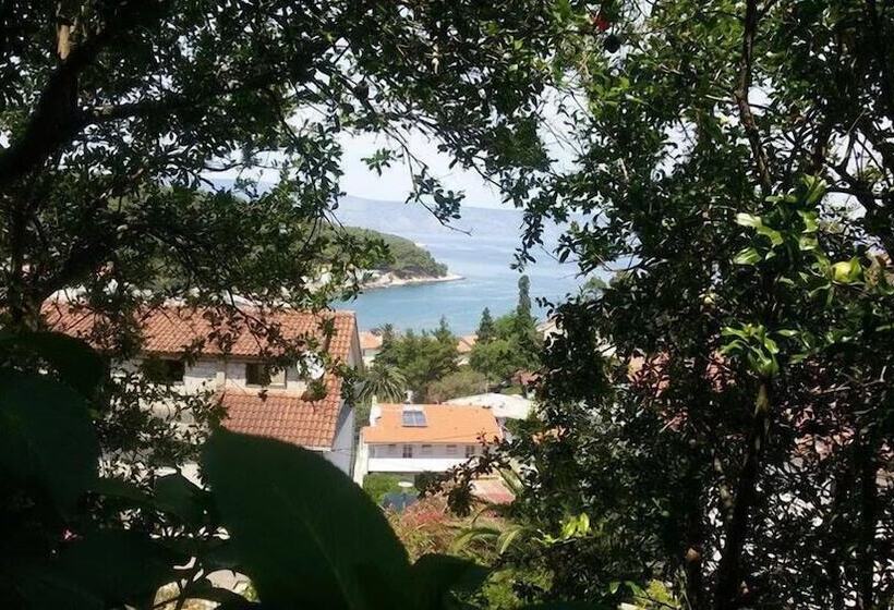 스탠다드 스튜디오, Guest House Hvar Jelsa