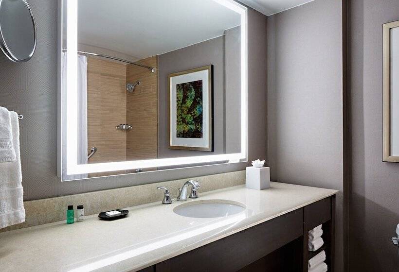 Kétágyas Standard Szoba, Sheraton Dallas